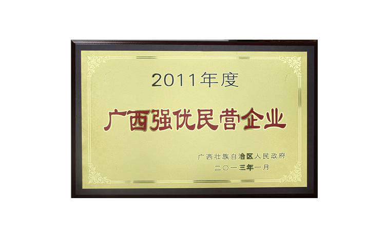 广西强优民营企业